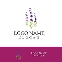 Fresh lavender flower logo vector