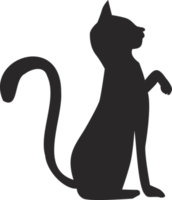 Halloween schwarze Katze png