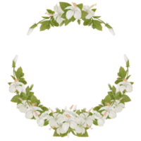 coroa de flores tropicais em aquarela de hibisco png