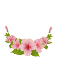 cadre circulaire de fleurs d'hibiscus rose aquarelle png