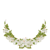 couronne de demi-croissant de fleurs tropicales à l'hibiscus aquarelle png