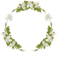 corona de flores tropicales en acuarela de hibisco png