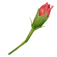 rosso ibisco fiore mini cuffie, lato Visualizza, acquerello png