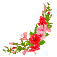bouquet d'hibiscus à l'aquarelle avec un décor courbe