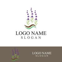 Fresh lavender flower logo vector