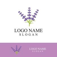 Fresh lavender flower logo vector