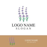 Fresh lavender flower logo vector