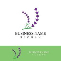 Fresh lavender flower logo vector