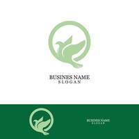 Bird wing dove logo template vector