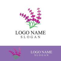 Fresh lavender flower logo vector