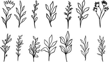 Floral Line Art, Leaves Clipart, Illustration, Leaf, Branch Vector For Cards, Invitation, Background