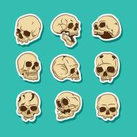 Realistic Skull Sticker Collection vector