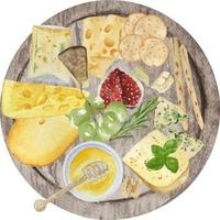 Watercolor cheese board for logo. Gourmet composition natural cheese. Cheese assortment with nuts, wine, honey. Italian, dutch, french or swiss cuisine with cheese plate composition. vector