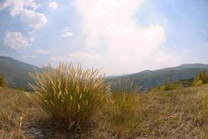 vista del paisaje de verano foto