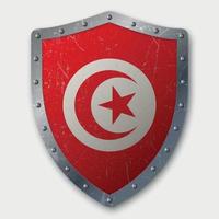 Old Shield with Flag vector