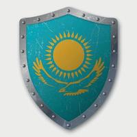 Old Shield with Flag vector