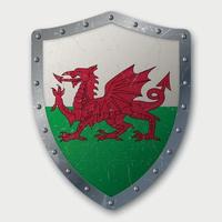 Old Shield with Flag vector