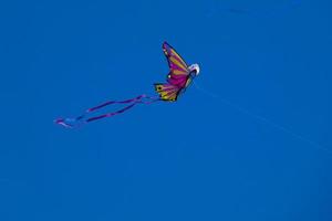 colourful kite flying under the blue sky photo