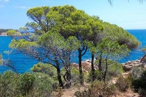 costa escarpada, costa mediterránea en la costa brava catalana, sant feliu de guixols foto