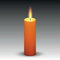 realistic paraffin burning candle vector