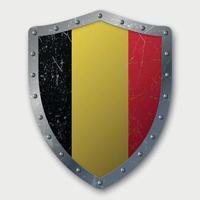 Old Shield with Flag vector