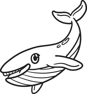 Whale Coloring Page Vector Art, Icons, and Graphics for Free Download