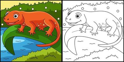 Newt Animal Coloring Page Colored Illustration vector