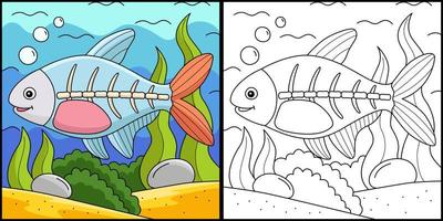 X-ray Fish Animal Coloring Page Illustration vector