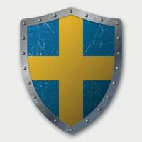 Old Shield with Flag vector