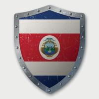 Old Shield with Flag vector