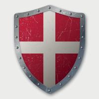 Old Shield with Flag vector