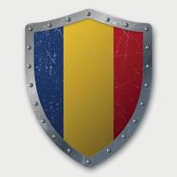 Old Shield with Flag vector