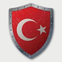 Old Shield with Flag vector