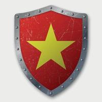 Old Shield with Flag vector