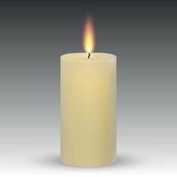 realistic paraffin burning candle vector