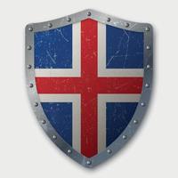 Old Shield with Flag vector