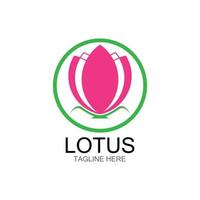 lotus flowers design logo Template icon vector
