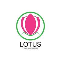 lotus flowers design logo Template icon vector