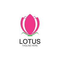 lotus flowers design logo Template icon vector