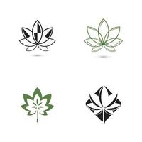 Canabis leaf vector illustration icon design