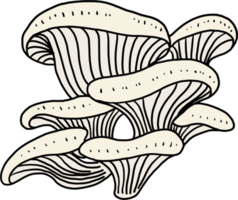 doodle freehand sketch drawing of oyster mushroom vegetable. png