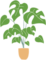 eenvoud monstera plant uit de vrije hand tekenen plat ontwerp. png