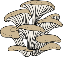 doodle desenho à mão livre de vegetal de cogumelo ostra. png
