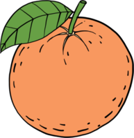 scarabocchiare a mano libera disegno di frutta arancione. png