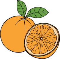 Doodle dibujo a mano alzada de fruta naranja. png