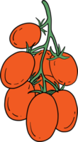 doodle desenho de esboço à mão livre de tomate vegetal. png