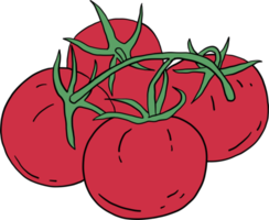 Doodle dibujo a mano alzada de vegetales de tomate. png