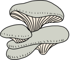 doodle freehand sketch drawing of oyster mushroom vegetable. png