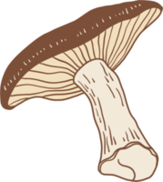 doodle croquis à main levée dessin de légume champignon shitake.