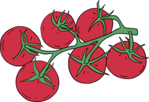 doodle desenho de esboço à mão livre de tomate vegetal. png